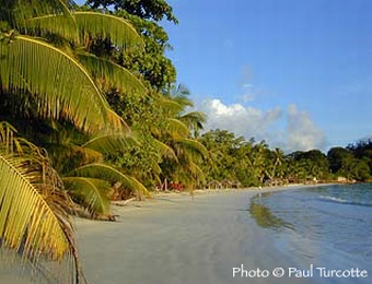 VILLA BANANIER - Praslin