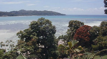 LE JARDIN DES PALMES MAHE - Mahé
