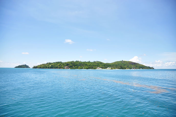 TROPICAL SANCTUARY - CERF ISLAND - Cerf