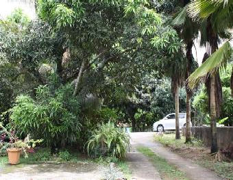 BEAU VALLON RESIDENCE - Mahé