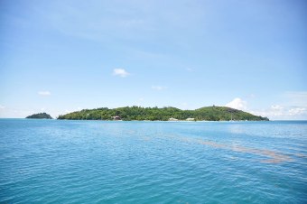 TROPICAL SANCTUARY - CERF ISLAND - Cerf