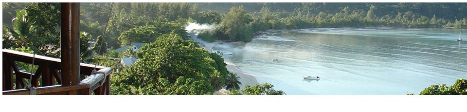 LE JARDIN DES PALMES MAHE - Mahé