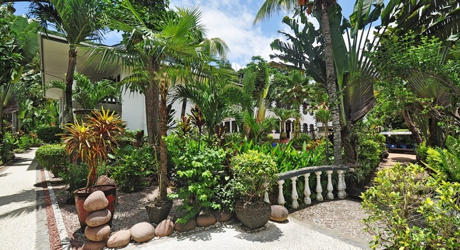 CHATEAU SAINT CLOUD - La Digue