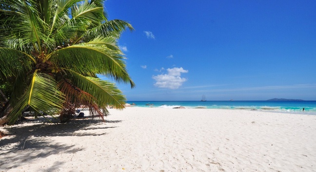 EXCURSIONS  - PRASLIN - Praslin