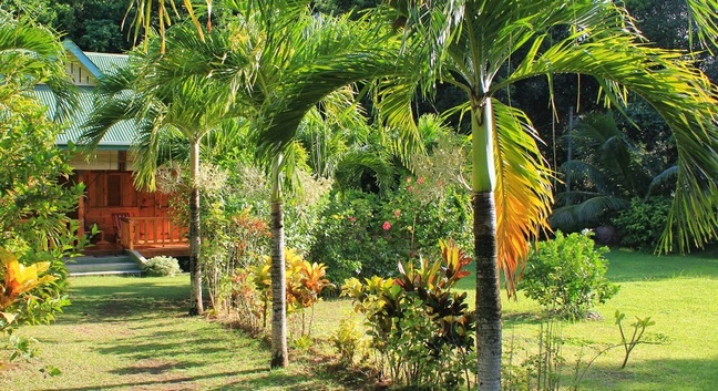 BOIS D'AMOUR SELF-CATERING CHALETS - La Digue