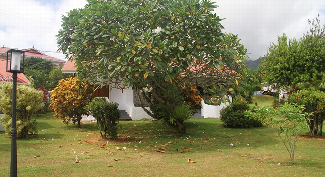 DANIELLA'S BUNGALOWS BEL OMBRE - Mahé
