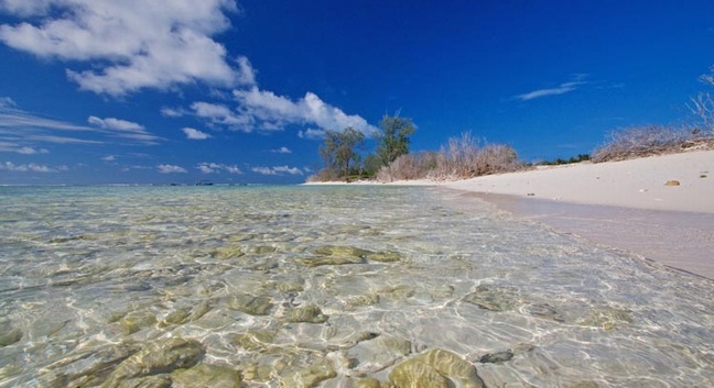 BIRD ISLAND LODGE - Bird