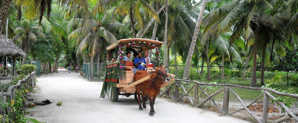 EXCURSIONS  - PRASLIN - Praslin