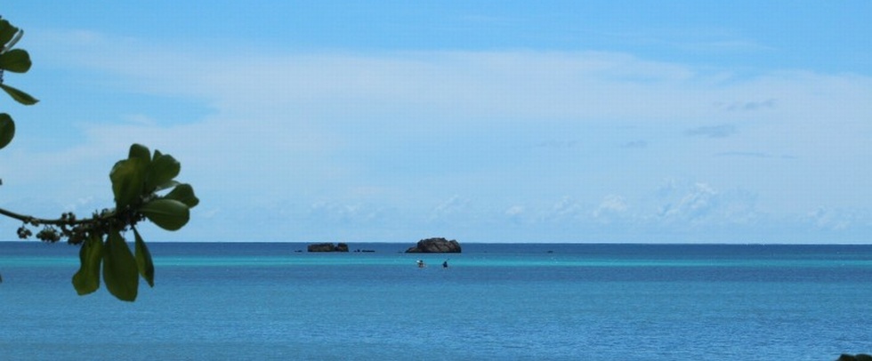 HELICONIA GROVE - Praslin