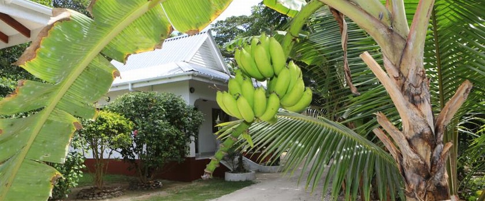 VILLA VEUVE GUEST HOUSE LA DIGUE - La Digue