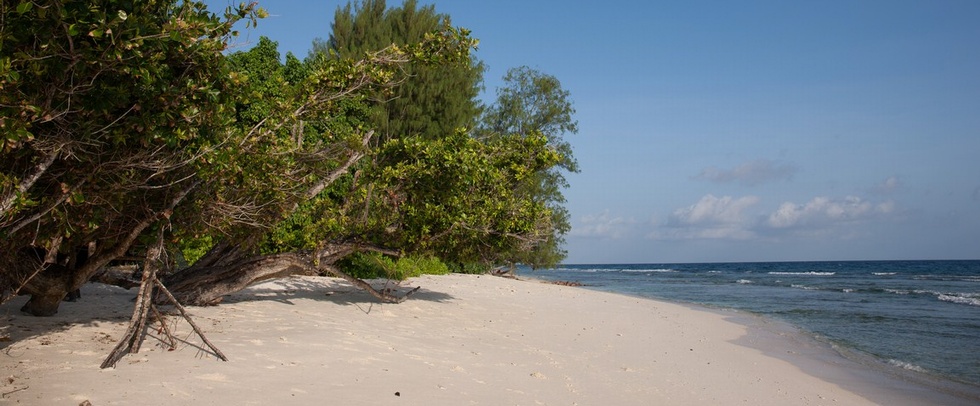 LE RELAX LUXURY LODGE - La Digue