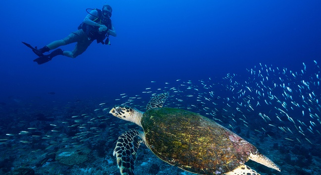 NORTH ISLAND SEYCHELLES - North Island