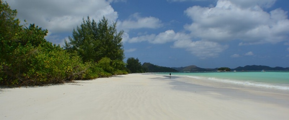 HELICONIA GROVE - Praslin