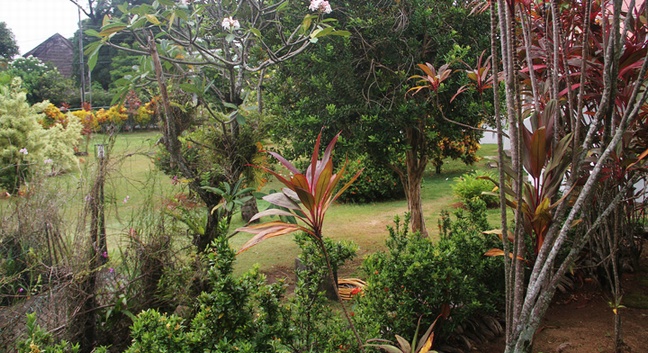 DANIELLA'S BUNGALOWS BEL OMBRE - Mahé