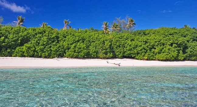 BIRD ISLAND LODGE - Bird