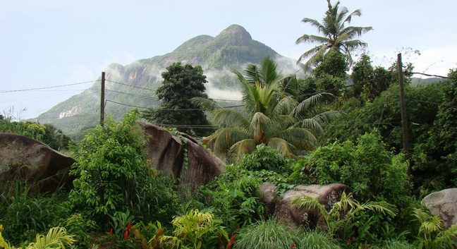 HANNEMAN HOLIDAY RESIDENCE BEAU VALLON - Mahé