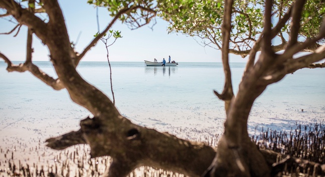 COSMOLEDO ECO LODGE - Cosmoledo Atoll