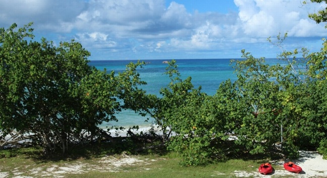 HELICONIA GROVE - Praslin