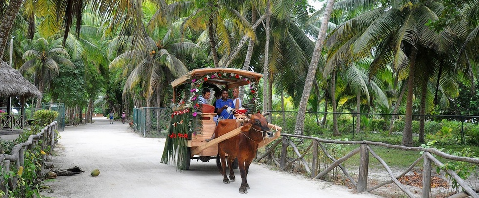 LA DIGUE ISLAND LODGE - La Digue