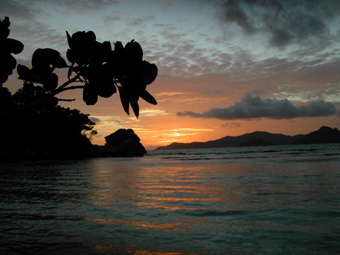 EDEN LUXURY APARTMENTS & VILLAS - Mahé